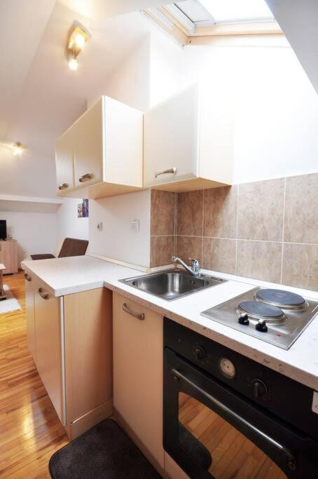 Apartment Dacic *